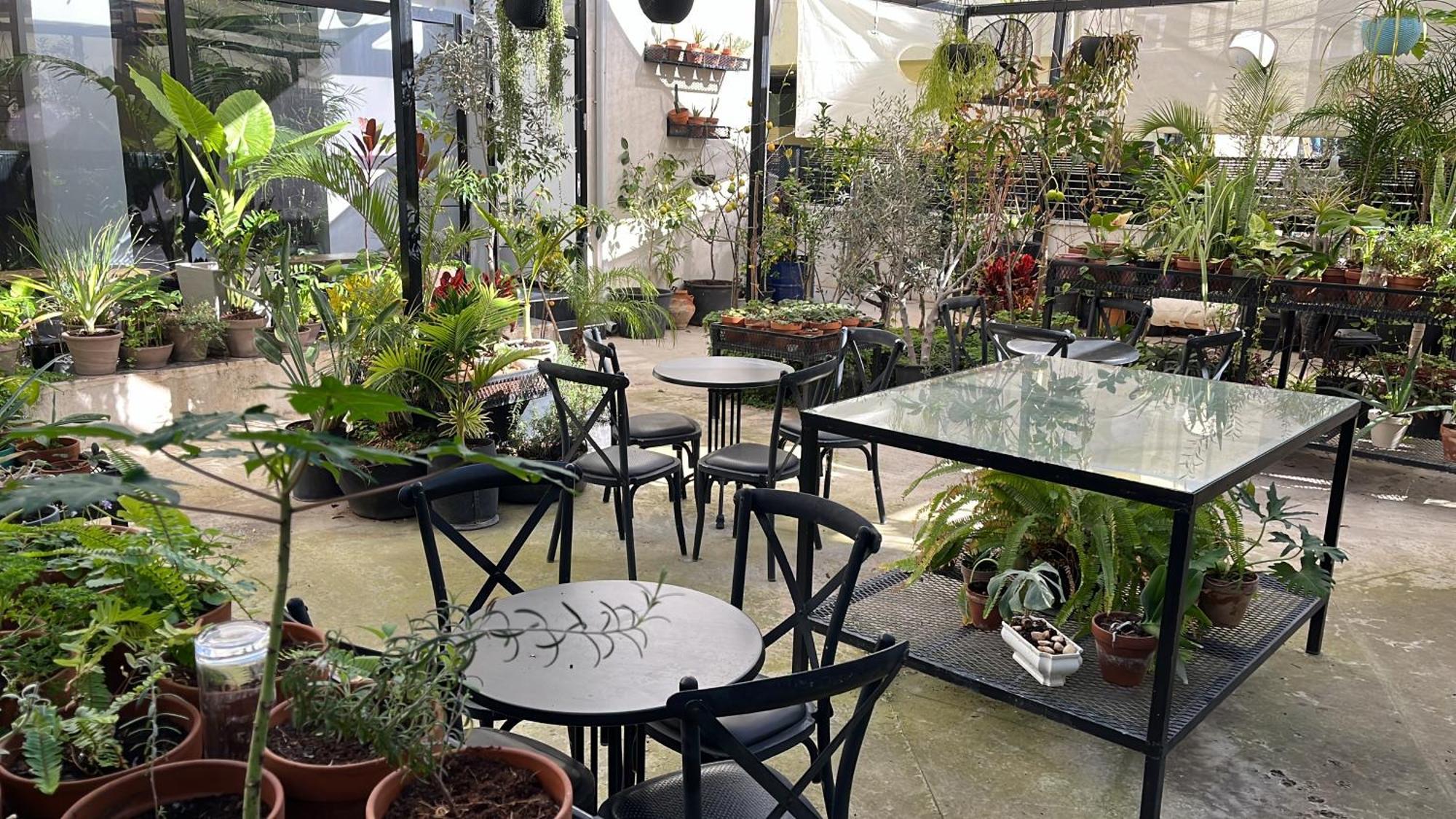 Bed and Breakfast Yona 8 Tel Aviv-Jaffa Exterior foto