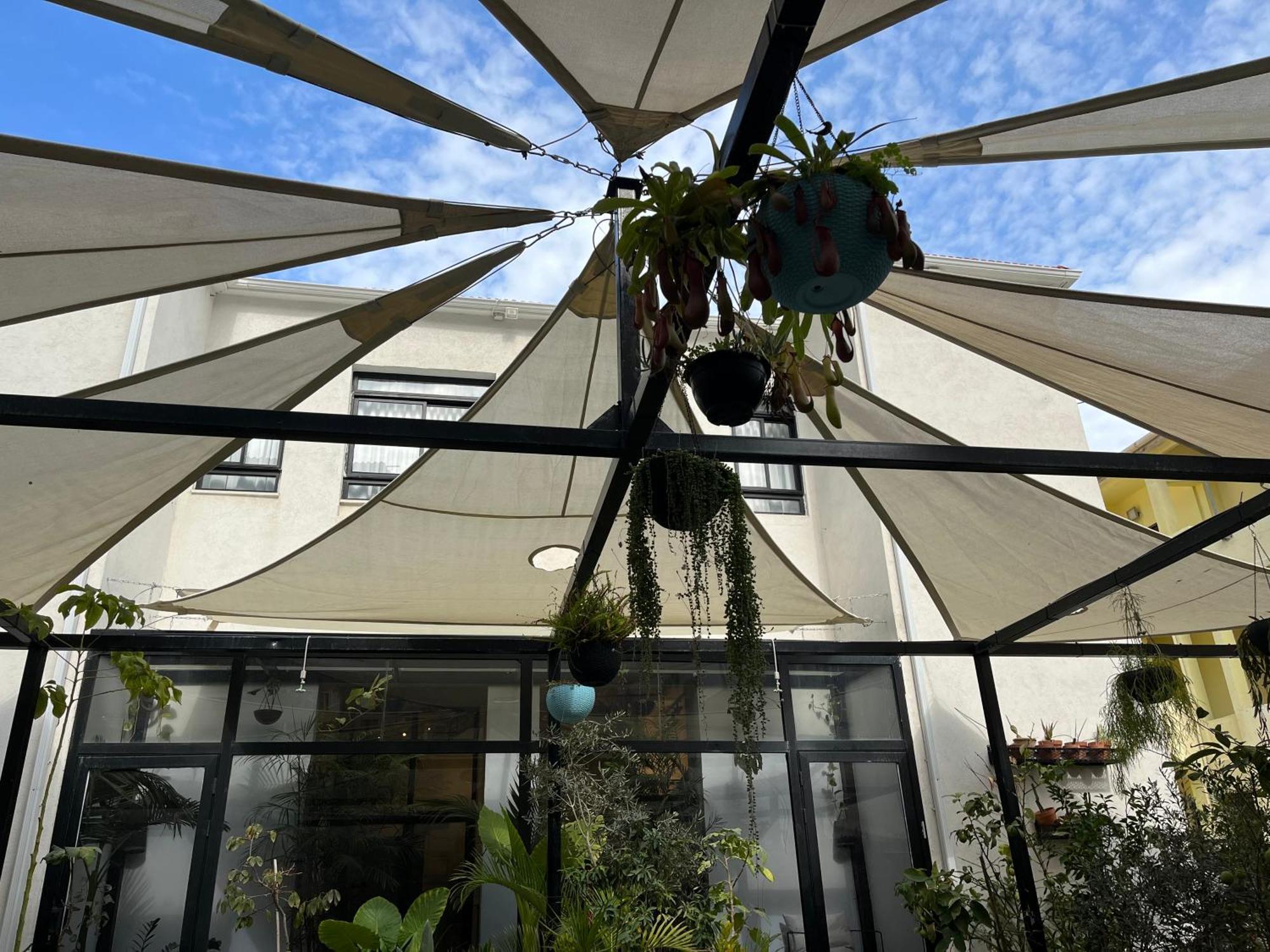 Bed and Breakfast Yona 8 Tel Aviv-Jaffa Exterior foto